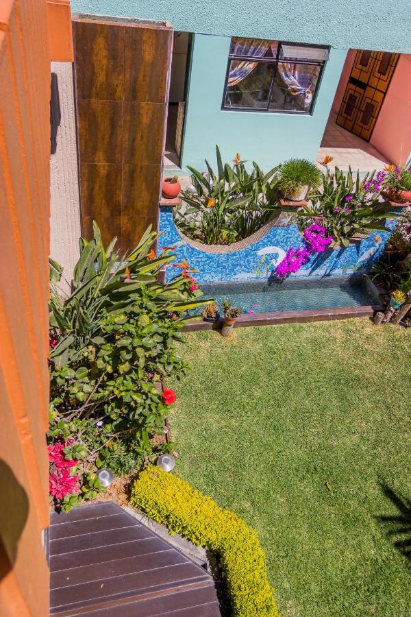 Casa De Las Palmas Guest House Oaxaca Dış mekan fotoğraf