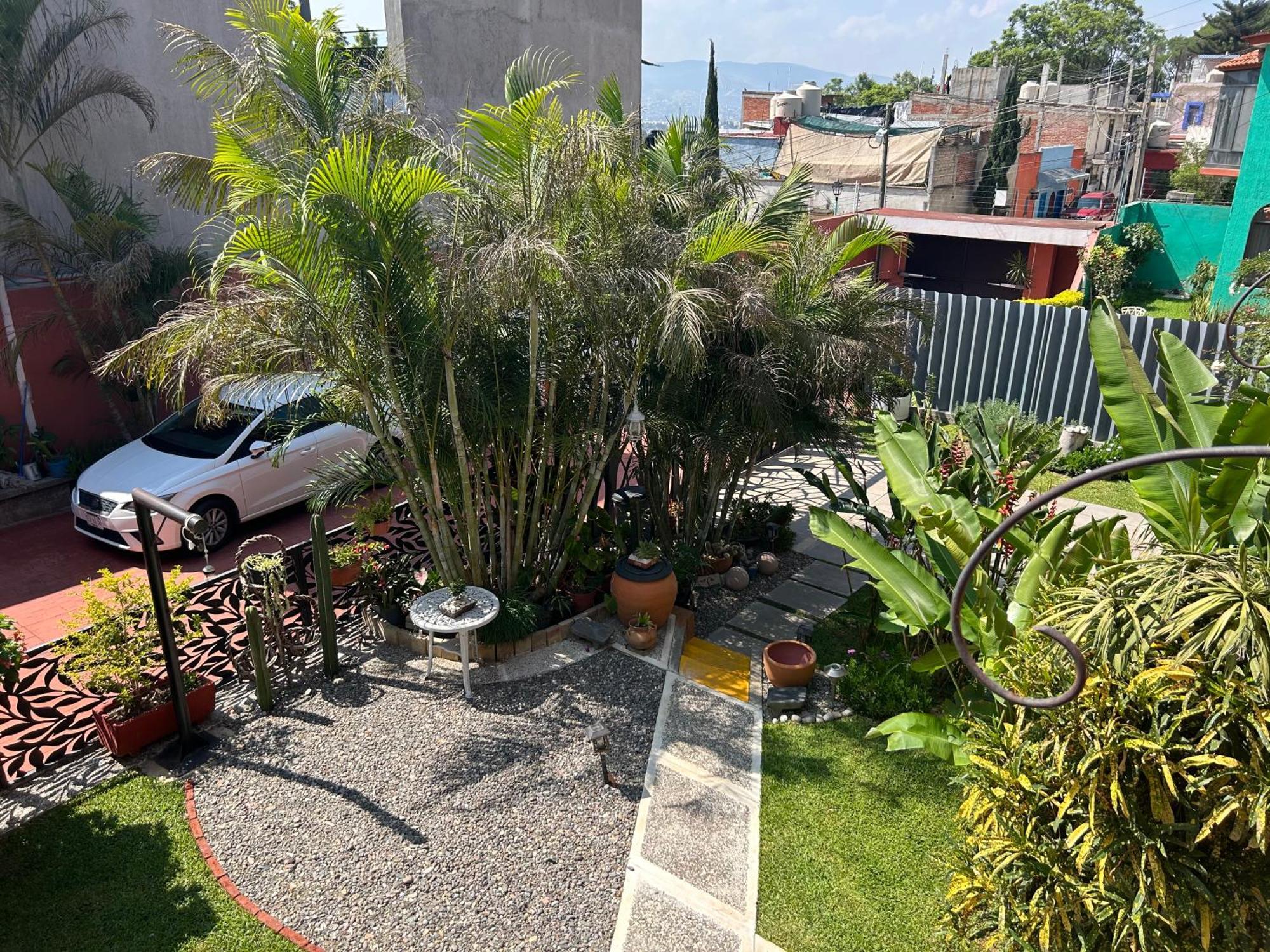 Casa De Las Palmas Guest House Oaxaca Dış mekan fotoğraf